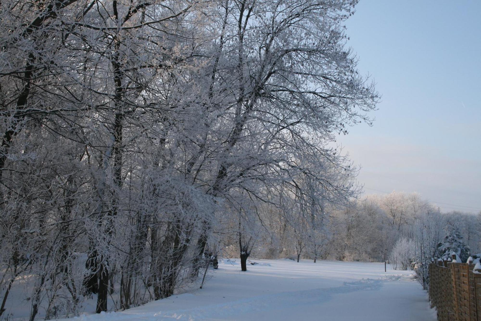 Landgasthof & Hotel Krone Eischleben Ichtershausen ภายนอก รูปภาพ